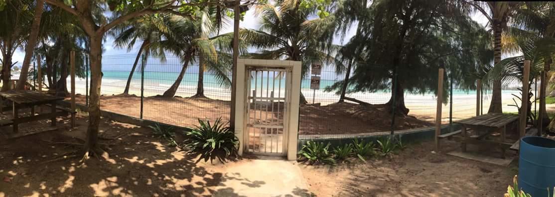 Apartmán Beach Front Apt Isla Verde 2 San Juan Exteriér fotografie